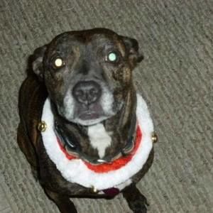 Meet your Posher, Terry